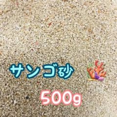 天然サンゴ砂 珊瑚砂 さんご砂 ろ材 海水水槽 ヤドカリ グッピー　20kg 天然サンゴ砂 珊瑚砂 さんご砂 ろ材 海水水槽 ヤドカリ グッピー