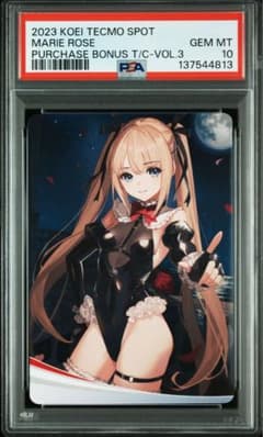 【PSA10】マリー・ローズ DEAD OR ALIVE Xtreme特典カード PSA10】マリー・ローズ DEAD OR ALIVE Xtreme特典カード - メルカリ