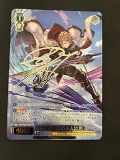 ヴァイス グラブル TDSP 十天衆を総べし者 主人公(男) - メルカリ