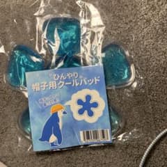 ひんやり帽子用クールパッド 熱中症対策のサムネイル