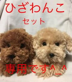 犬ぬいぐるみ    ひざわんこ  プードル  2個セット タグ付きのサムネイル
