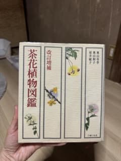 改訂増補 茶花植物図鑑 奥山春季 奥山和子 原井敏子 主婦の友社のサムネイル