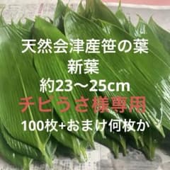 天然会津産笹の葉 100枚+おまけ何枚かのサムネイル