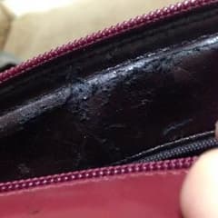 グッチご確認用のサムネイル