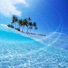 ★★みりん様専用ページ★★のサムネイル