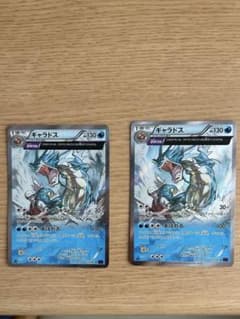 ギャラドス XY7 2枚セット ギャラドス R XY7 θダブル 2枚セット - メルカリ