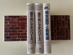 盛平翁ビデオセットのサムネイル