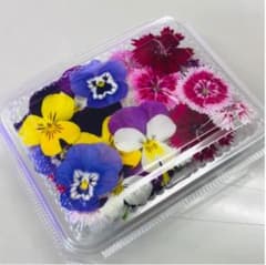 無農薬エディブルフラワー20輪のサムネイル
