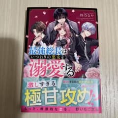 最強総長はいつわりの悪女を溺愛するのサムネイル