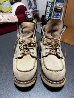REDWING  アイリッシュセッターのサムネイル