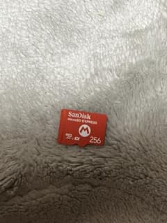SanDisk microSD Express 256GB (Main Unit)