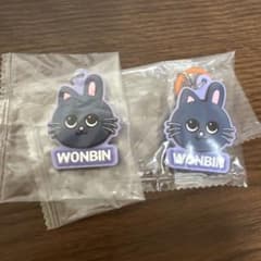 WONBIN ラバーキーホルダー 2個セットのサムネイル