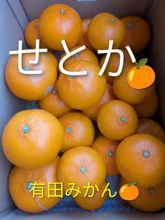 美味しい有田みかん　せとか訳あり品のサムネイル