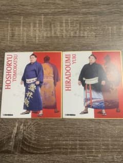 大相撲 力色紙 豊昇龍、平戸海のサムネイル