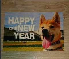 年賀状10枚のサムネイル