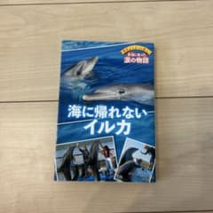 海に帰れないイルカのサムネイル