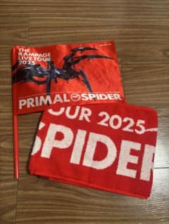 THE RAMPAGE LIVE TOUR 2025 タオル フラッグのサムネイル
