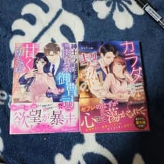 エタニティ・ヴァニラ文庫2026年4月発売 2冊セット - メルカリ