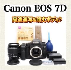 お買い得✨Canon EOS 7D✨手振れ補正レンズ✨一眼レフカメラ✨初心者
