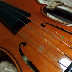 ワニ様専用になっております、GLIGA-bassile ダメージあり。のサムネイル