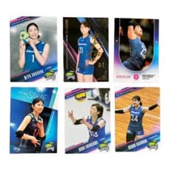 久光スプリングス2022-2023トレーディングカード　6枚セットのサムネイル