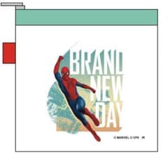 Spider-Man Blind Pouch