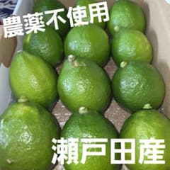 広島県瀬戸田産　グリーンレモンのサムネイル