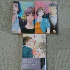 ナギと嵐  全３巻 もんでんあきこのサムネイル