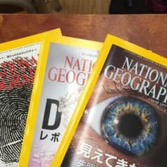 national geographic   ナショナルジオグラフィックのサムネイル