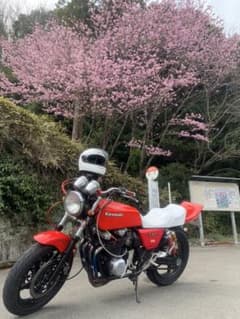 ゼファー400  FX仕様RRRさん専用　車検付　要現車確認お願いしますのサムネイル