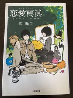 恋愛寫眞 もうひとつの物語のサムネイル