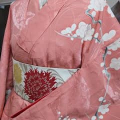 アンティーク 正絹綸子 金駒刺繍 熨斗梅菊春秋花柄 訪問着（840