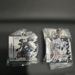 ポケモン ポケットモンスター ブラック ホワイト キーホルダー 2種セットのサムネイル