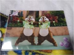 ディズニースペシャルフォトのサムネイル