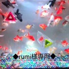 rumi 様専用のサムネイル