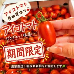 完熟アイコフルーツトマト 高糖度 濃厚ミニトマト 大粒のサムネイル