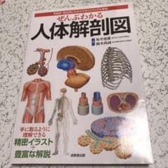 ぜんぶわかる人体解剖図 系統別・部位別にわかりやすくビジュアル解説のサムネイル