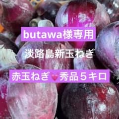 butawa様★淡路島新玉ねぎ★赤玉ねぎ★5キロ★ フレッシュ★彩に★のサムネイル