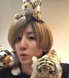SixTONES 京本大我 トラ ぬいぐるみ - メルカリ
