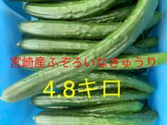 宮崎産訳ありキュウリのサムネイル