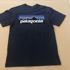 パタゴニア Tシャツ　レスポンシビリティー　P-6ロゴのサムネイル