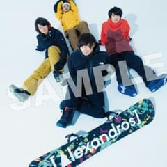 配布終了タワレコポスターSNOWSOUND特典のサムネイル