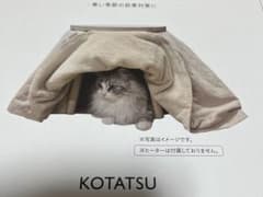 こたつ ペット 犬 猫 ペット用 スリーコインズ 3coins スリコのサムネイル