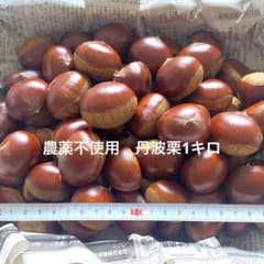 農薬不使用　丹波栗1キロ　銀寄のサムネイル