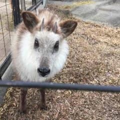 プロフ必読様のサムネイル