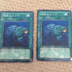 強欲なウツボのサムネイル