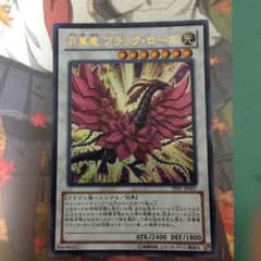 月華竜ブラックローズのサムネイル