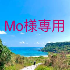 ブラカゴバック➕LED電球のサムネイル