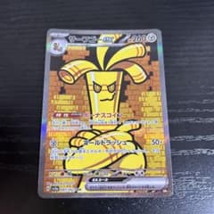 087 サーフゴーex SARのサムネイル