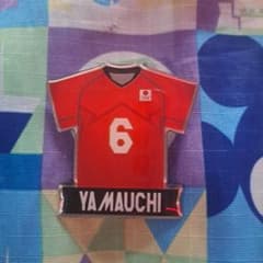 龍神nippon バレー　ピンバッチ　山内選手のサムネイル